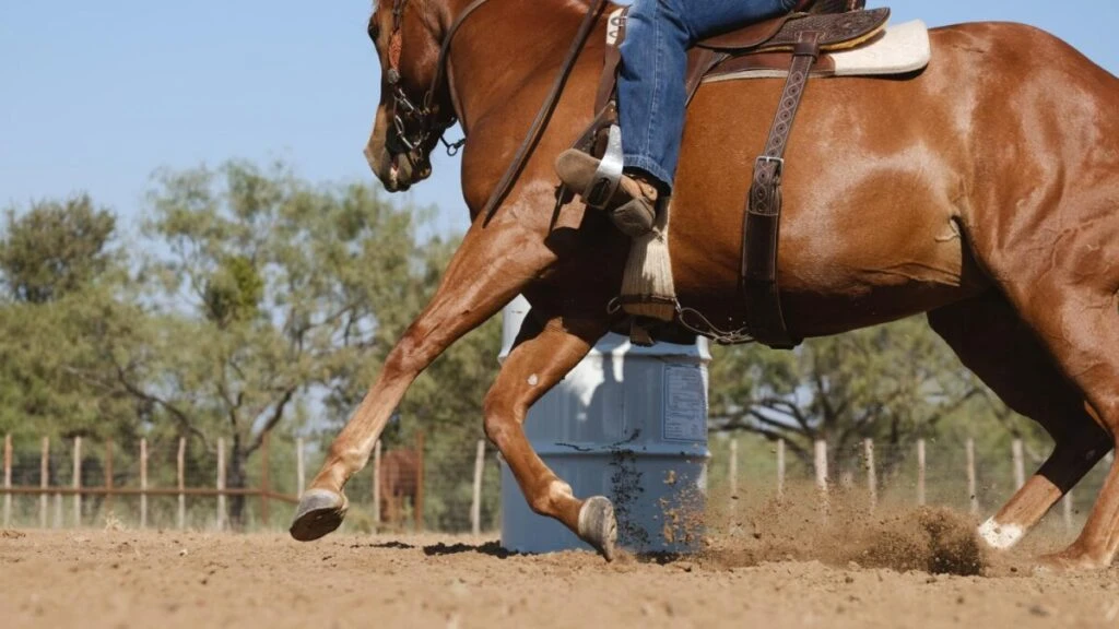 Ataque contra caballos durante competencia ecuestre provoca investigación policial y cargos criminales